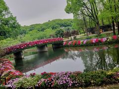 -苏州上方山国家森林公园