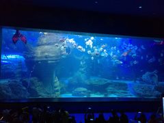 -多彩贵州城极地海洋世界