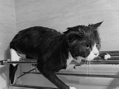 -洪山体育馆篮球馆