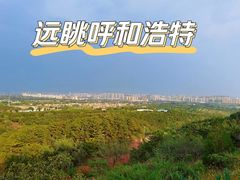 -乌素图国家森林公园