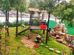 -西霞口神雕山野生动物世界