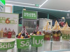 -Salud撒露欧洲冻酸奶(五道口购物中心店)