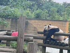 -杭州野生动物世界