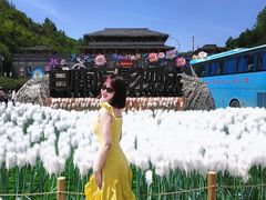 -白鹿原影视城