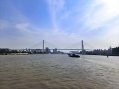 -摆渡站(董家渡站)