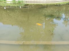 -白水寺森林公园