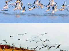 -古宇湖风景名胜区