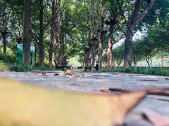 -辛亥革命博物院北区