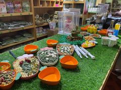 -宠物兔专门店(天丰利市场店)