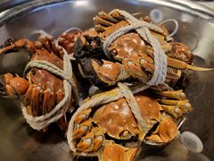 -味之绝热血美蛙鱼火锅(中坝店)