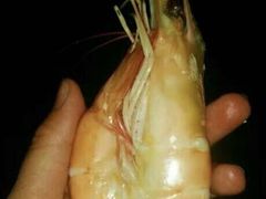 -花乐餐厅(涠洲岛店)