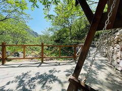 -大岭沟猕猴桃谷风景区