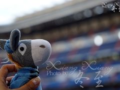 景点-伯纳乌球场