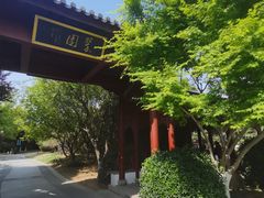 -国学公园