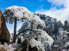 -黄山风景区