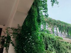 -府河摄影公园