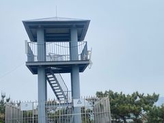 -北岭山森林公园