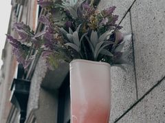 -丰盛里