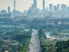 -火炉山森林公园