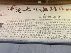 -雷山鱼酱酸汤鱼·酸汤牛肉(花果园T1区店)