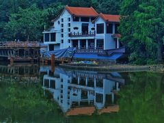 -深圳仙湖植物园
