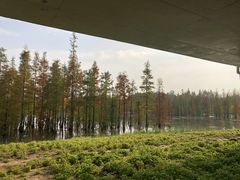 -白鹭湾湿地公园