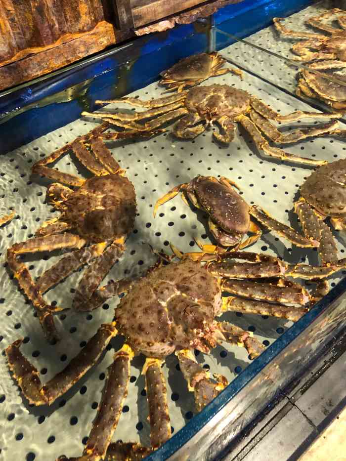 开海红岛海鲜虾水饺(石老人店)-"作为来青岛旅游的游客,专程跑到开海