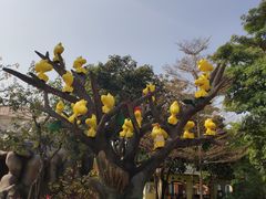 -史努比缤纷世界