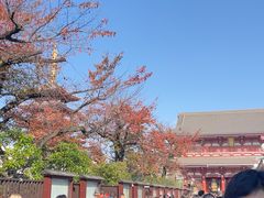-浅草寺