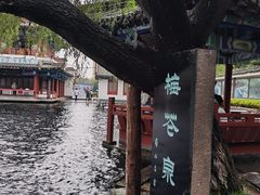 -百脉泉景区