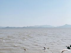 -深圳湾公园(南山区)