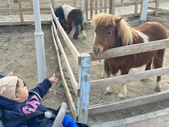 -水上乐园·欢乐世界