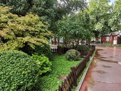 -莲花池公园