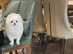 -清真·牛掌柜(奉天街店)