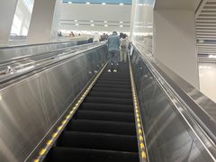 -鲜芋仙(太原街万达店)