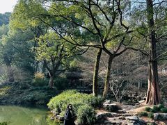 -杭州植物园