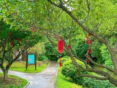 -南山风景名胜区