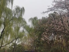 -唐御宴•御宴宫•唐代菜点(芙蓉西路店)