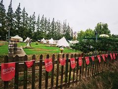 -前小桔亲子创意农场·草莓采摘·露营烧烤