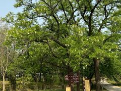 -北京西山国家森林公园