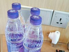 -苏州金鸡湖文博诺富特酒店