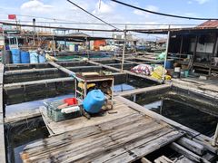 -蓝湾碧波·老字号·疍家非遗海上餐厅
