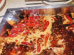 -二荆条·蜀鲜汇城市森林火锅