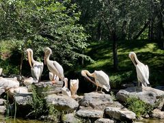 -北京野生动物园