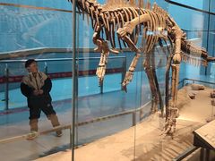 -卧龙岗文化园-南阳市汉画馆