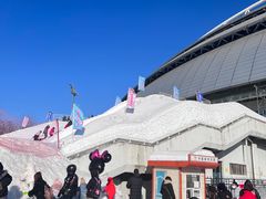 -沈阳奥体冰雪嘉年华