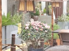-老渔家鲜鱼轩(南浦横街店)