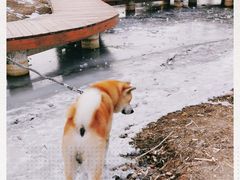-东郊湿地公园