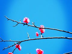 -天鹅湖体育公园