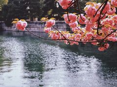 -颐和园